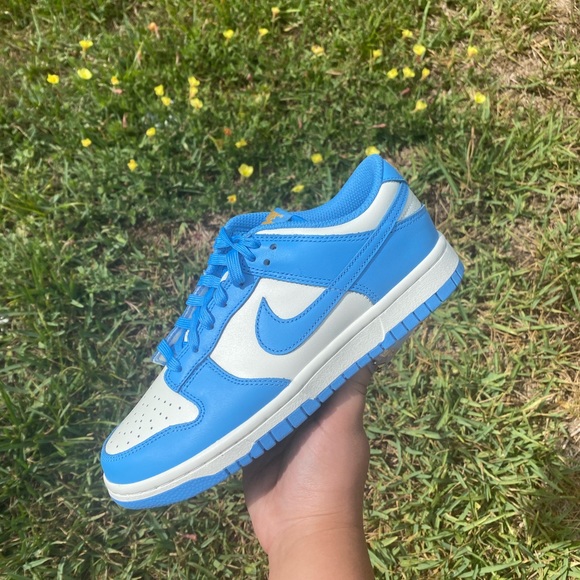 Nike Shoes - Coast Dunks